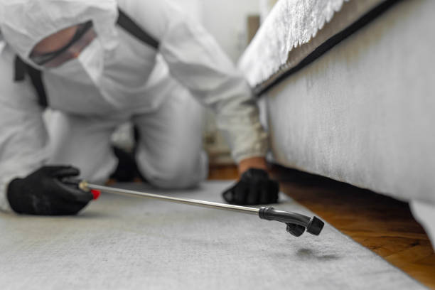 Professional Termite Control technician working in Fort Meade, FL