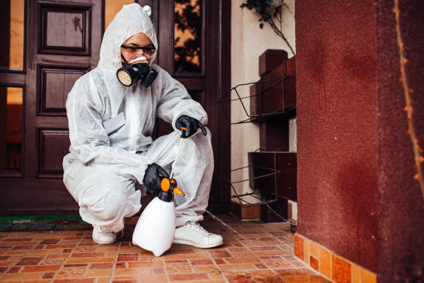 Reliable Termite Control contractor in Fort Meade, FL by Nex Pest Control